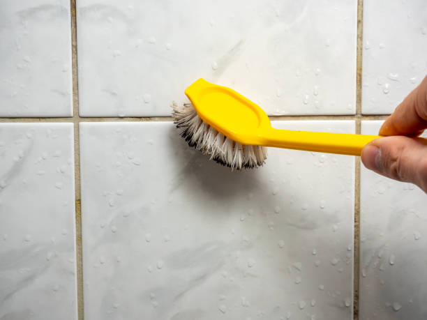 Iowa Colony, TX Mold Removal Pros